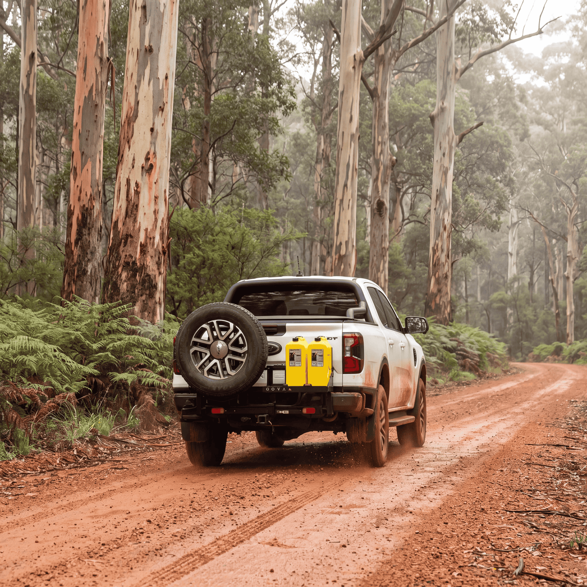 Ford Ranger Hitch-Mounted Rear Bar