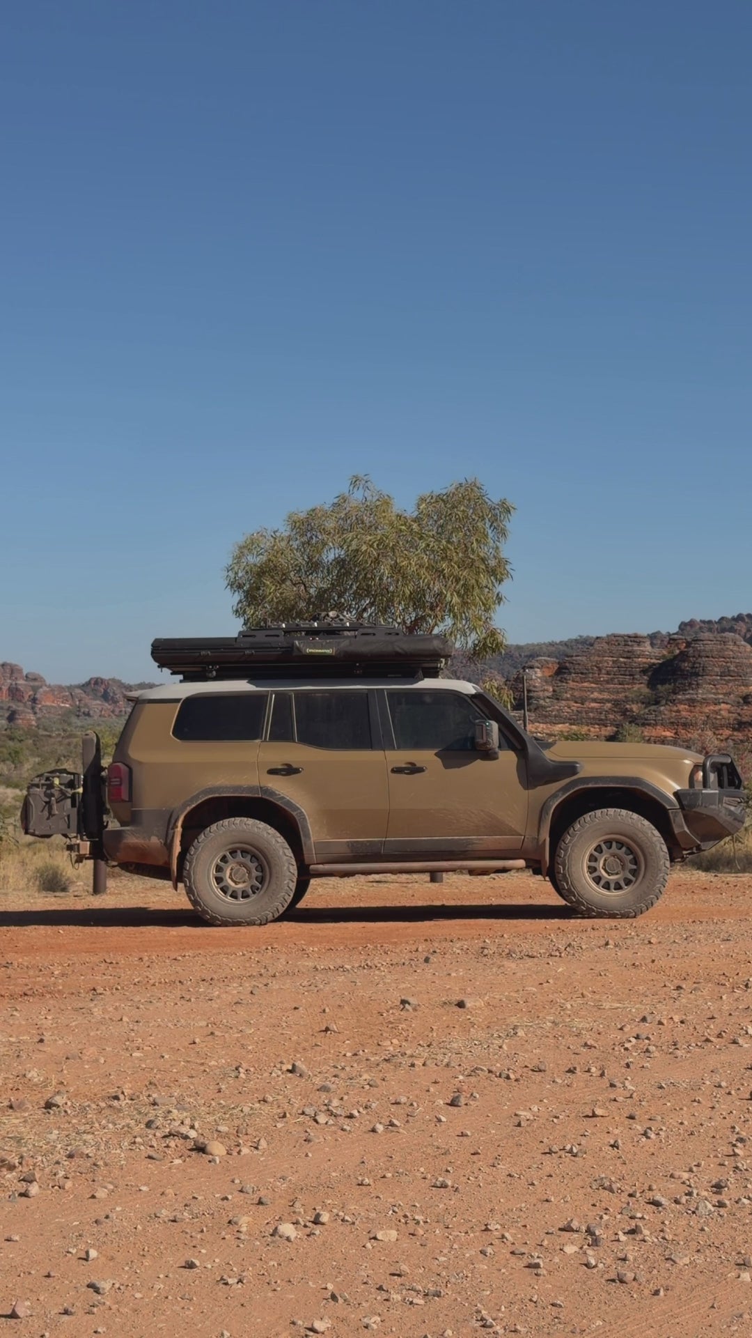 Toyota 250 Prado Hitch-Mounted Rear Bar